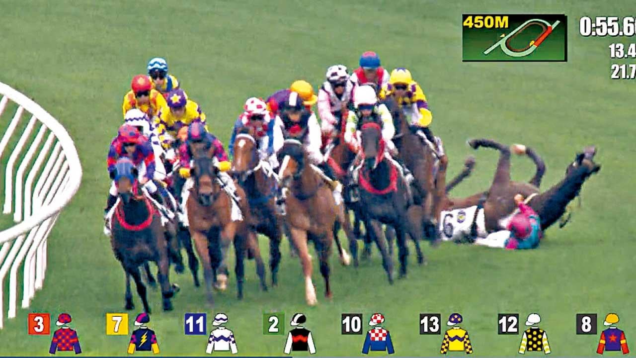 連續兩周墮馬 騎師楊明綸一度遭賽駒壓著