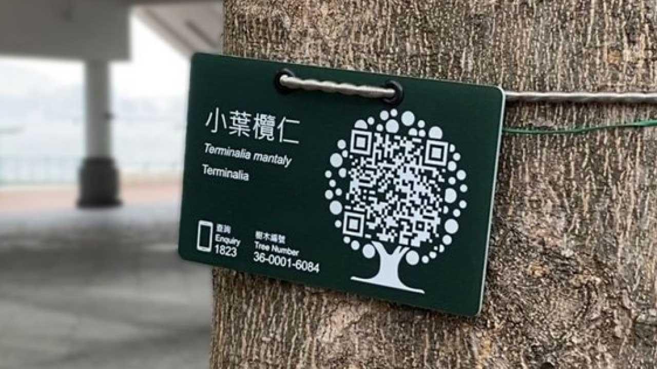 樹木二維碼標籤