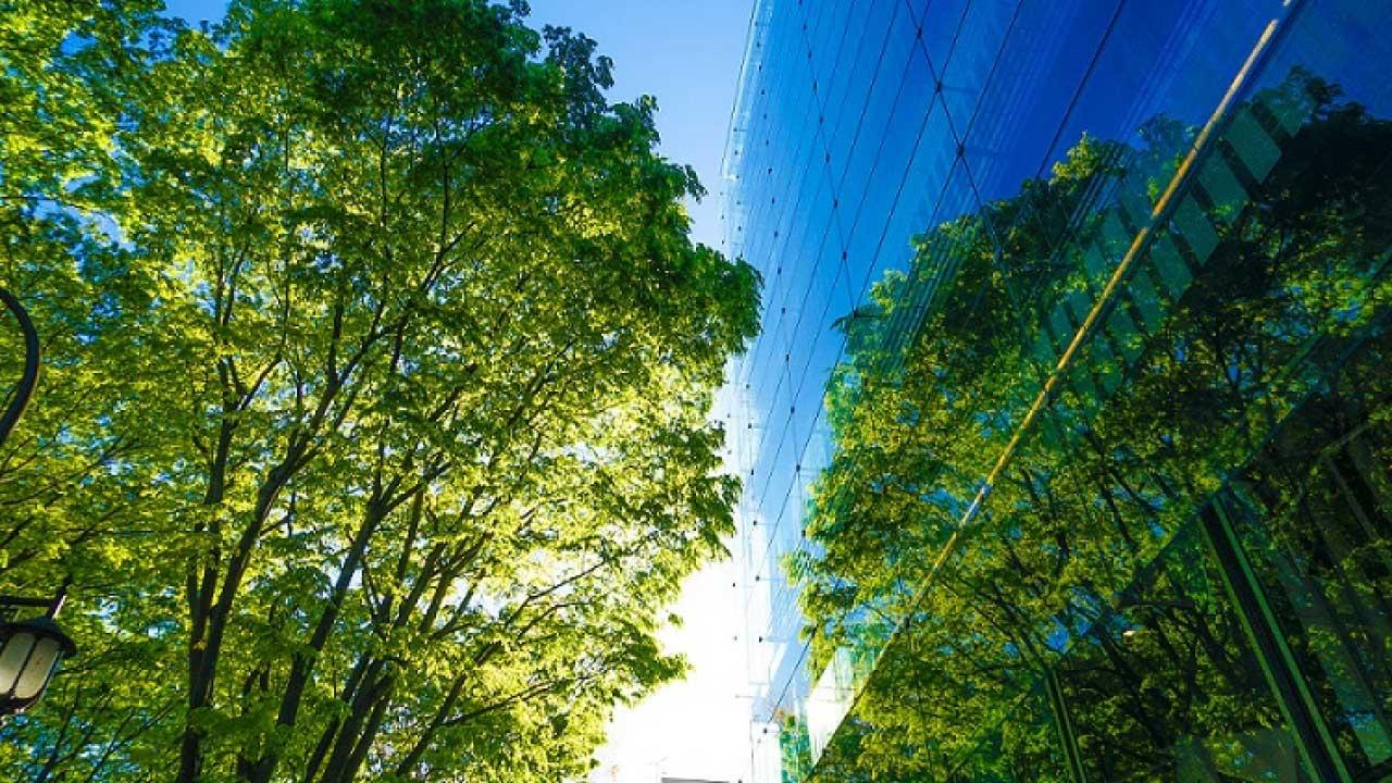 全球減碳轉型 中國積極布局