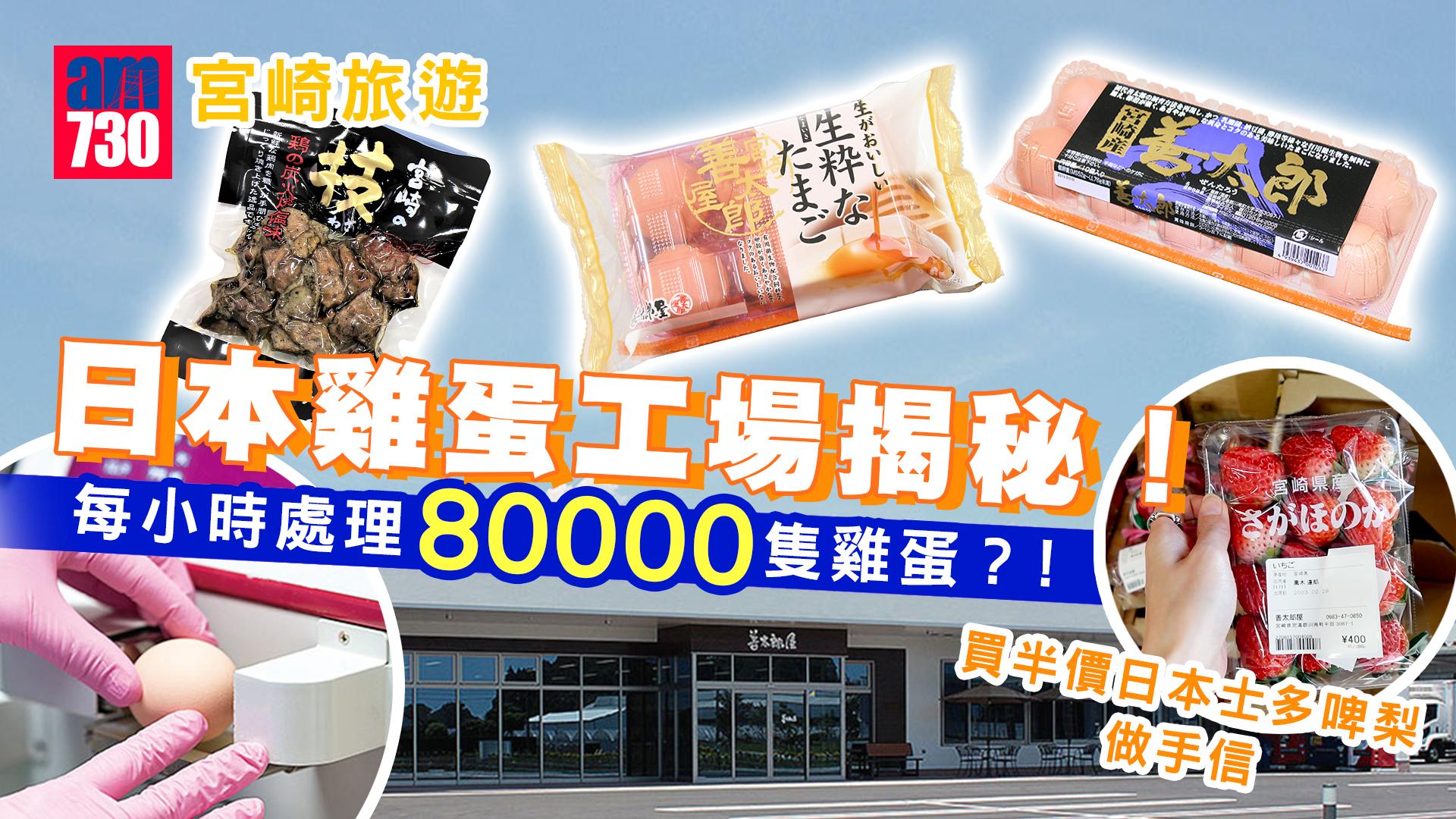 宮崎旅遊｜日本雞蛋工場揭秘！每小時處理80000隻雞蛋？超平價錢入手日本生果 $23買士多啤梨