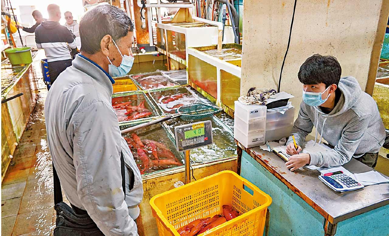 香港仔魚類批發市場