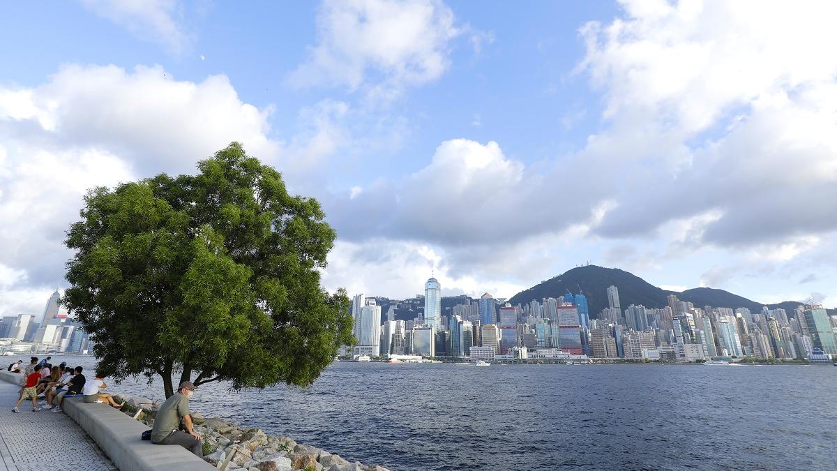 一艘領航船駛至西九文化區與港島之間海面時，船上一名職員跌傷頭部。(資料圖片／林俊源攝)