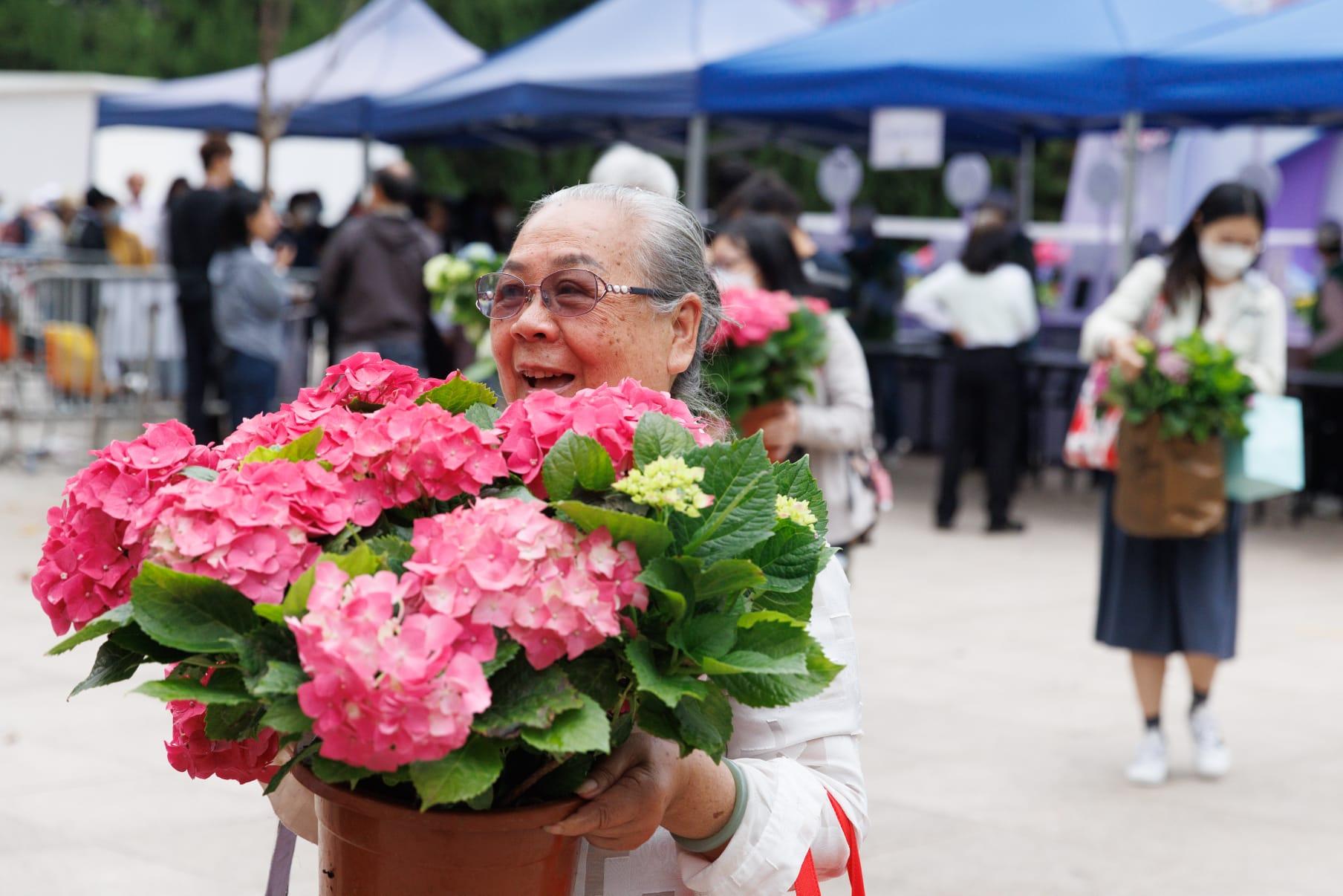 花展2023｜圓滿閉幕今早免費派花　康文署：反應熱烈派花活動結束