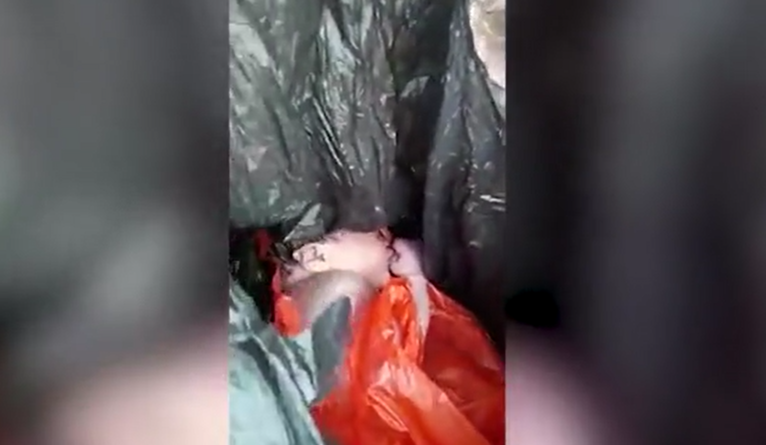 初生女嬰被當垃圾丟棄 幸哭聲驚動熱心民眾獲救 網民驚嘆︰可愛小天使！(有片)