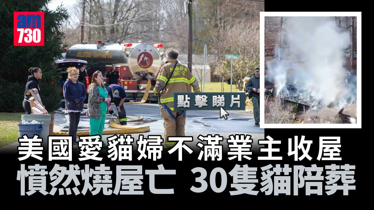 美婦不滿業主收屋　憤然炸屋害30隻貓陪葬(有片)