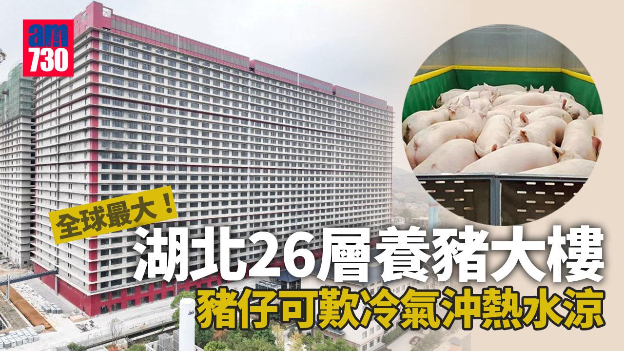 世界最大養豬大樓 自動餵食外有冷氣可沖熱水涼 連糞便都可發電？