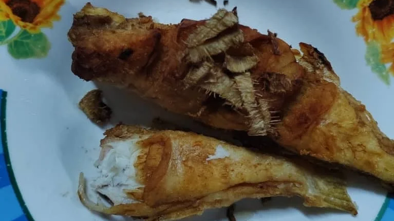 夫婦吃「雞脾魚」後中毒麻痹抽搐 1死1命危 真身竟是它