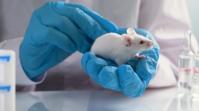 科學突破｜雄鼠細胞竟可變卵子 誕出健康小鼠  「男男繁殖」10年內成真？