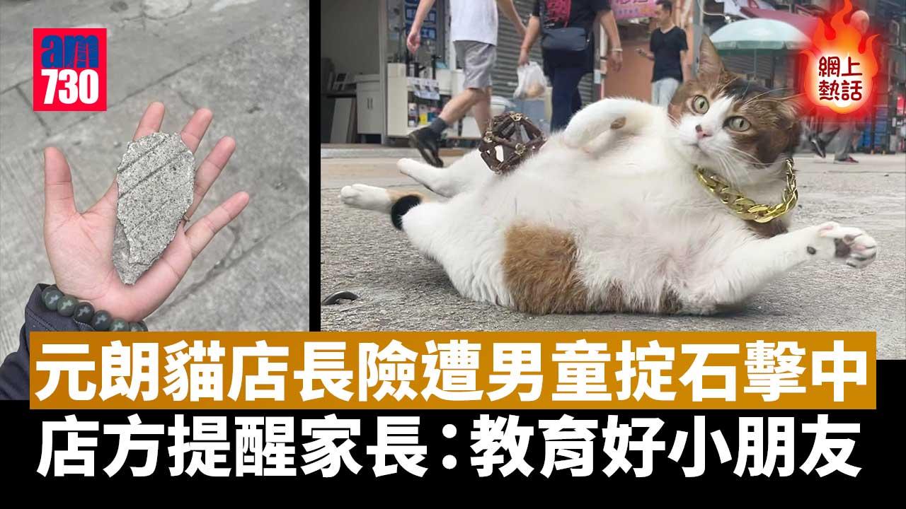網上熱話｜元朗貓店長險遭男童掟石擊中　網民：好彩捉得切
