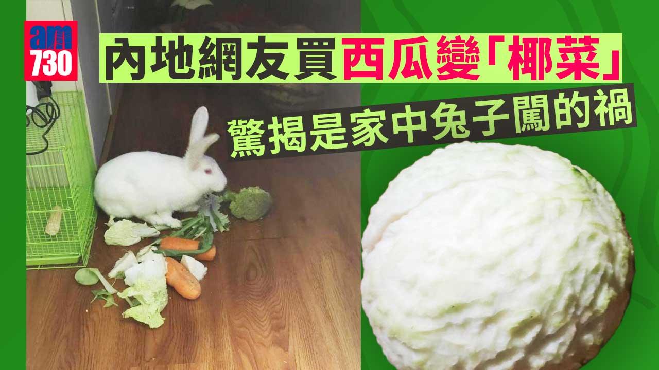 西瓜被換成「椰菜」　網民得知真相後笑翻