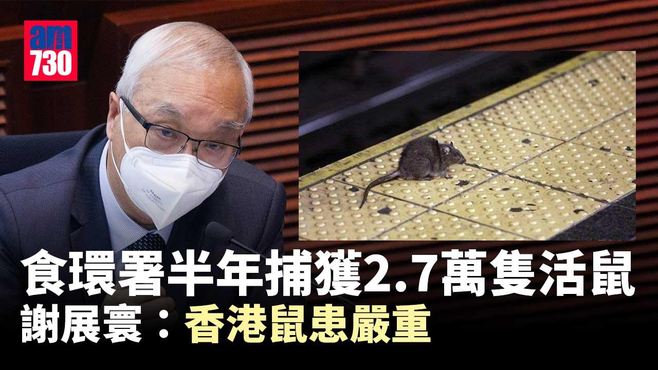 食環署去年下半年捕獲2.7萬隻活鼠　望達鼠患黑點減半指標
