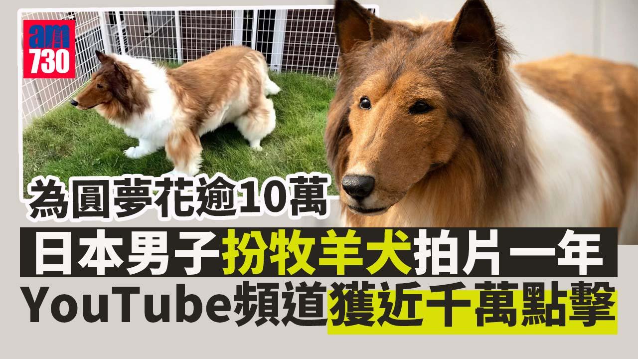 日本男為圓夢花逾10萬「變成牧羊犬」　1年後Youtube頻道獲近千萬點擊