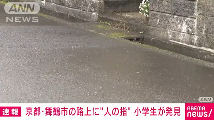 京都一個小學生回家時在路上發現斷指。(新聞截圖)