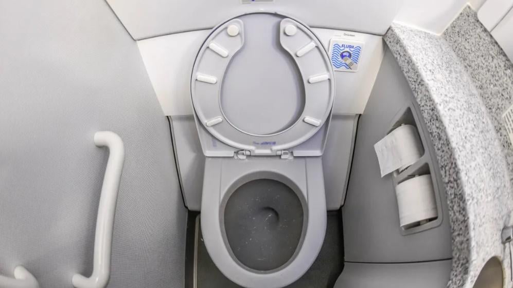 長途機8間廁所5間壞，飛2小時後被逼折返。(網上圖片)