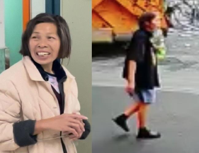 尋人︱60歲陳惠儀失蹤 最後露面元朗泰衡街