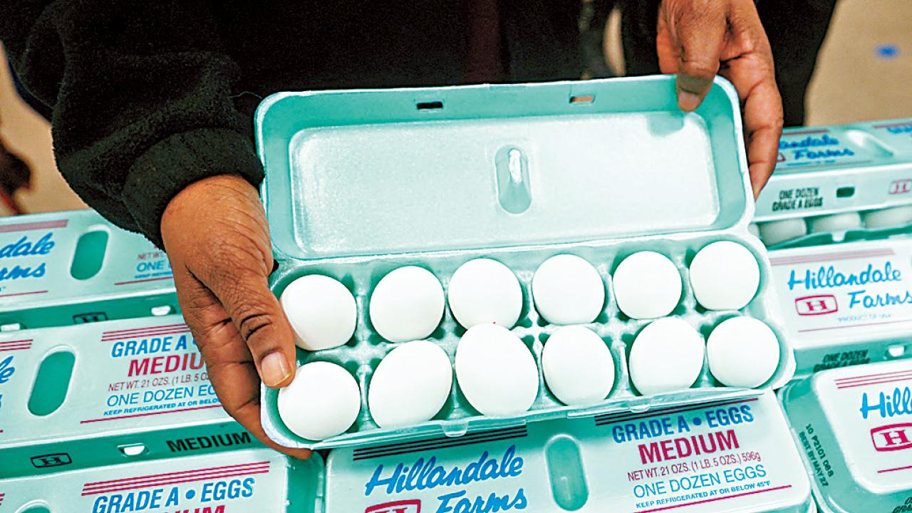 「人情味」雞蛋不再？