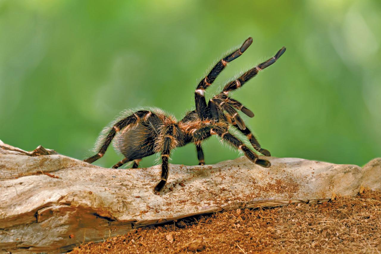 大學生的內容警示