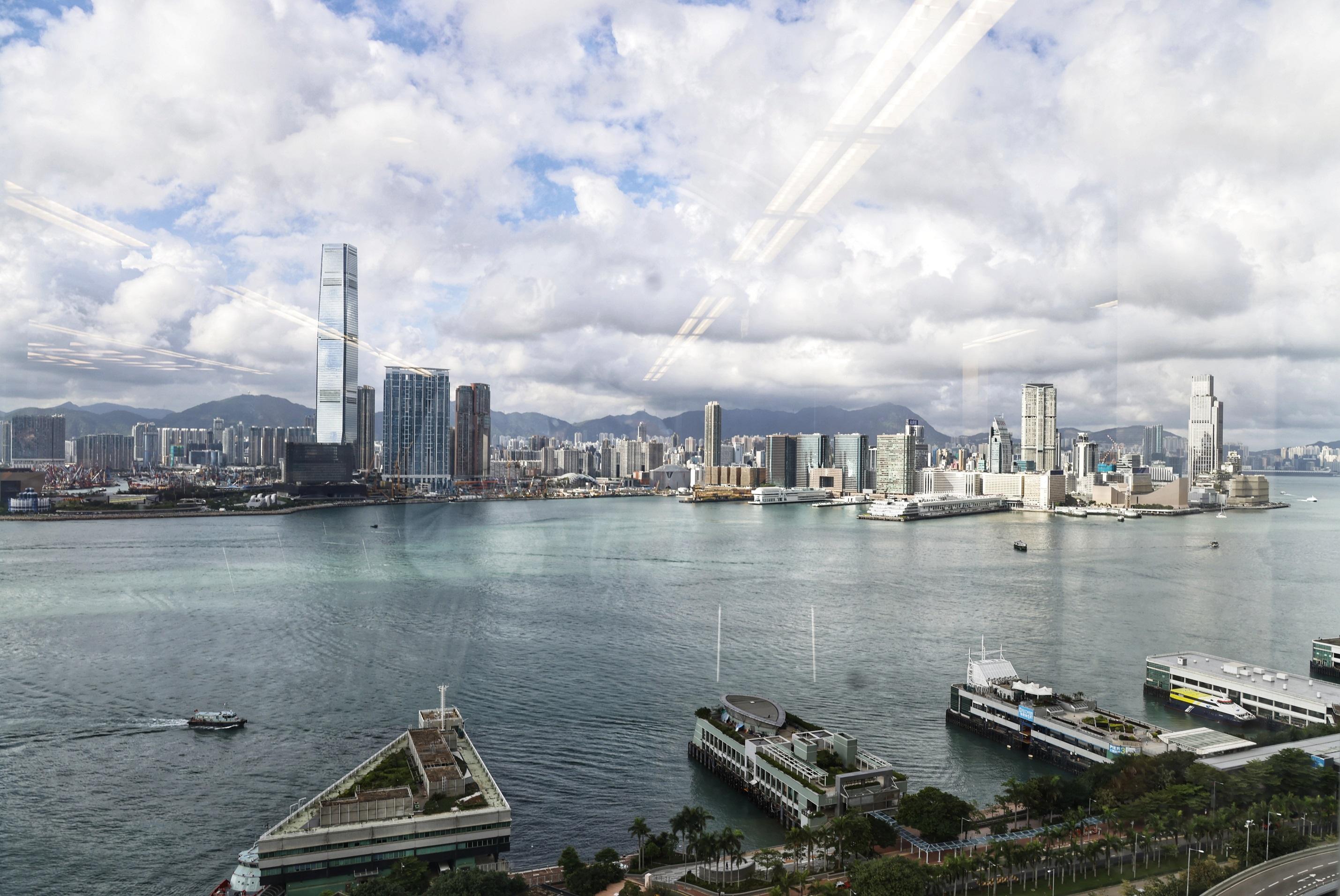 牛油果樹的枯榮