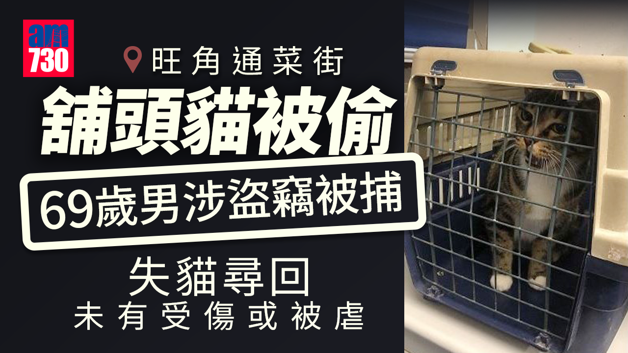 69歲男涉旺角通菜街偷貓被捕　失貓尋回未有受傷或被虐