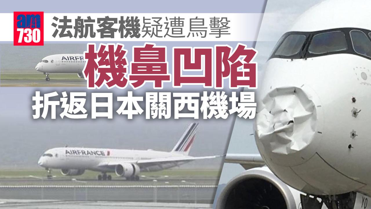 法航客機疑遭鳥擊致機鼻凹陷 折返日本關西機場(有片)