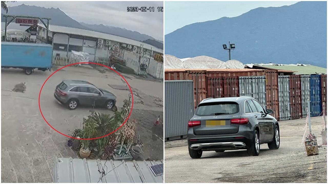 私家車刻意輾過狗隻不顧而去