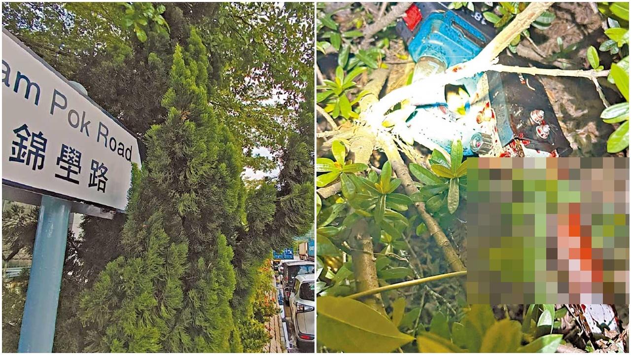 元朗錦壆路電鋸謀殺案