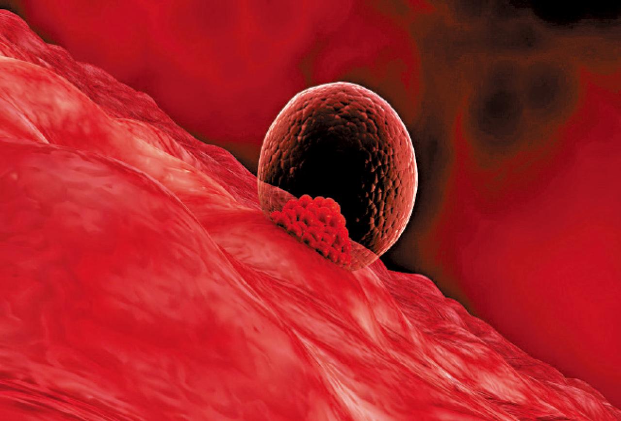 子宮內膜如何影響著床？