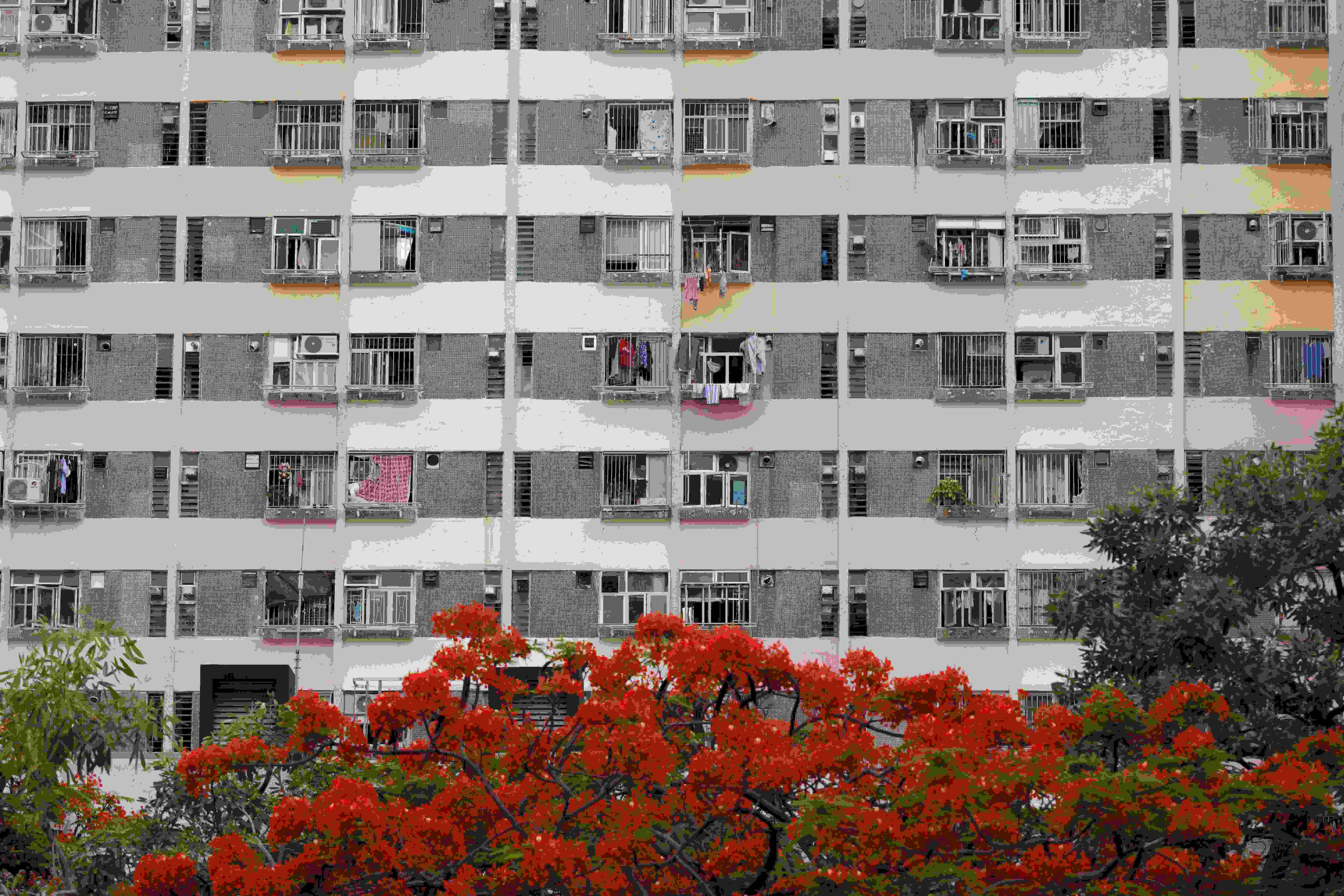 長沙灣 房委會擬收緊富戶政和子女加戶等安排 公屋配相