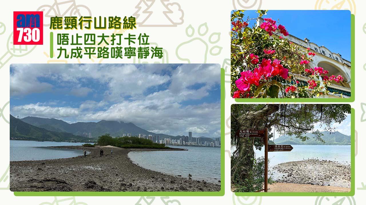 鹿頸初級行山︱唔止四大打卡位 九成平路嘆寧靜海