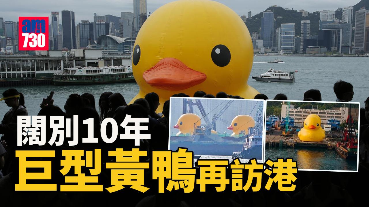 Ray Online｜巨型黃鴨闊別10年再訪港　孖同伴青衣游水