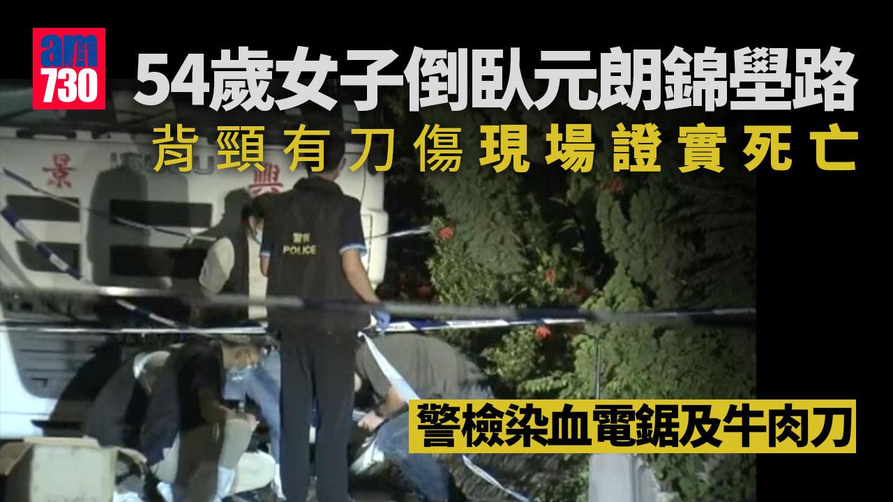 元朗錦壆路附近有女子死亡 警檢染血電鋸及牛肉刀