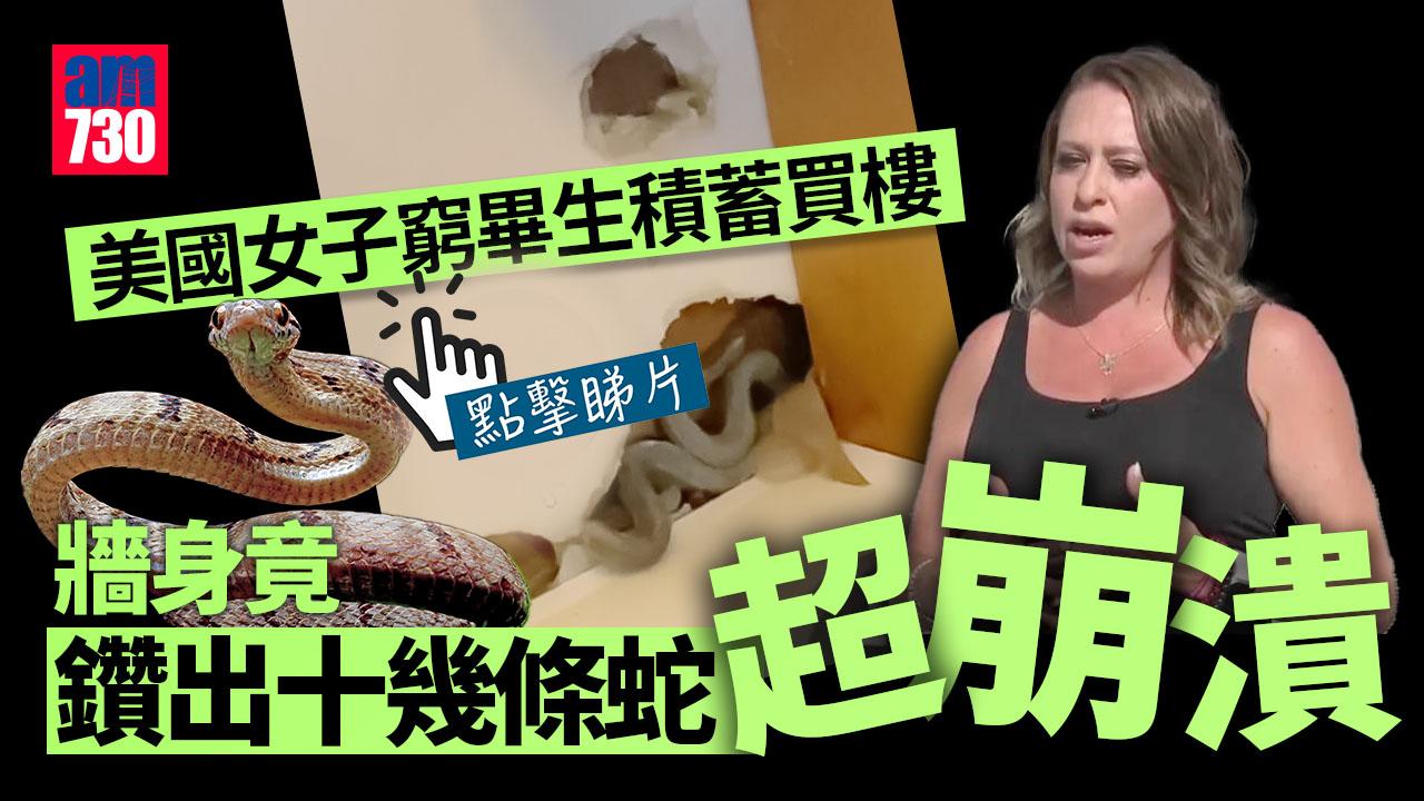 畢生積蓄買樓　牆身竟鑽出十幾條蛇令屋主崩潰(有片)