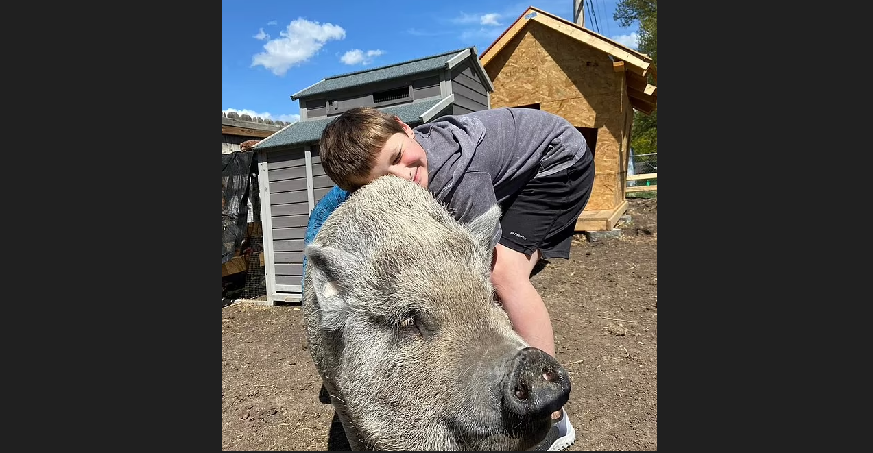 9歲少主心碎「牠是家人」 呢隻寵物大大份 被迫遷點算好？