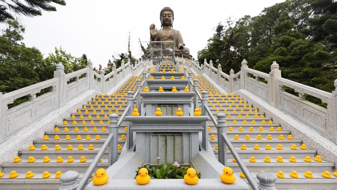 橡皮鴨, 大嶼山, 天壇大佛