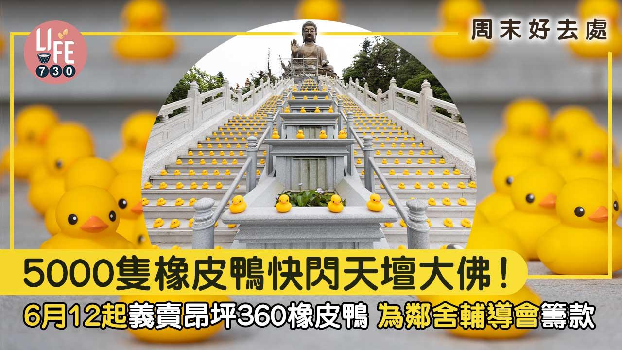 周末好去處｜5000隻橡皮鴨快閃天壇大佛！ 6月12起義賣$50橡皮鴨 為鄰舍輔導會籌款