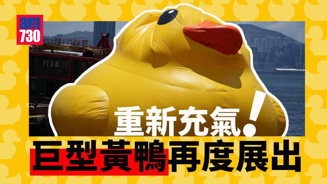 黃鴨復活 橡皮鴨已重新充氣將再次展出