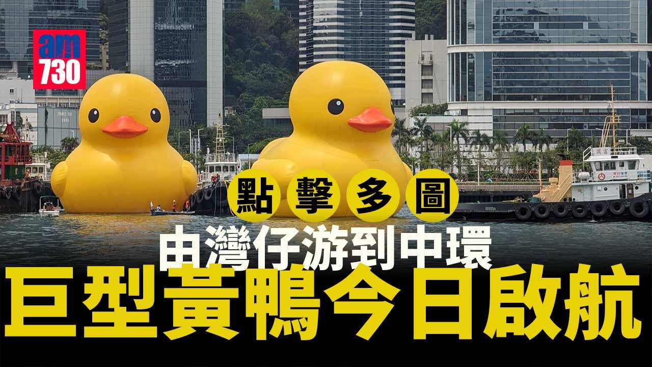 多圖｜巨型黃鴨今啟航　灣仔會展游早水到中環海濱 (持續更新)