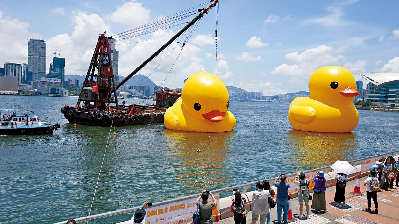下海上山 走遍全港 黃鴨復活 維港重聚