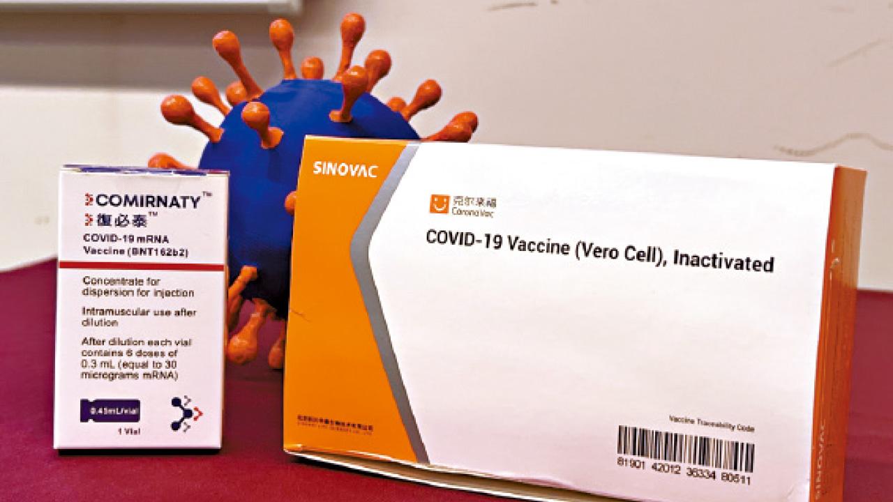 復必泰及科興能引發T細胞反應 研究：兩疫苗減重症死亡