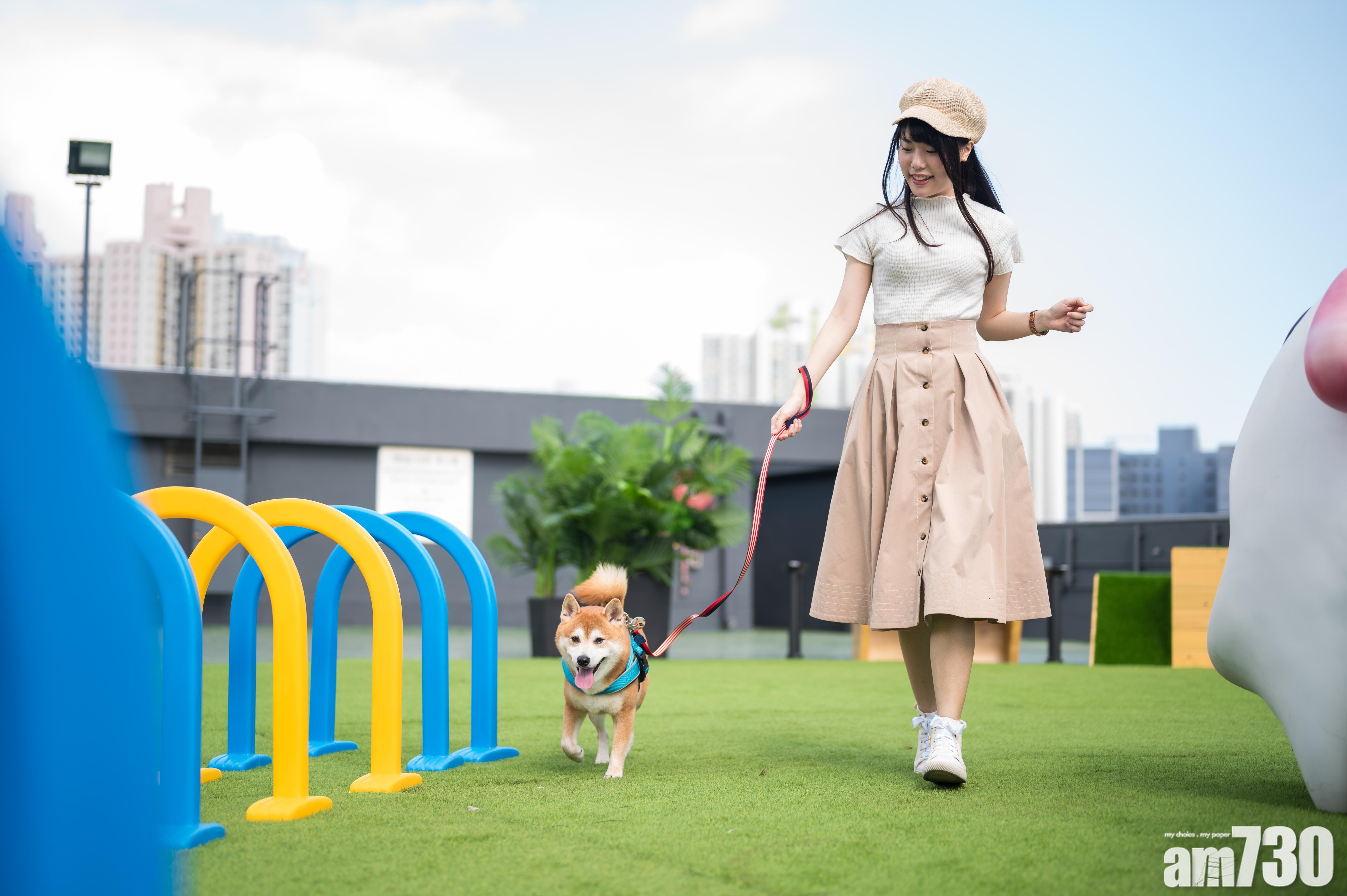 寵物共享公園下周二起再增逾50個。(資料圖片)