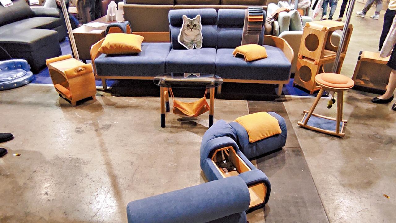 傢俬公司製「貓沙發」 防抓更成貓咪玩樂場