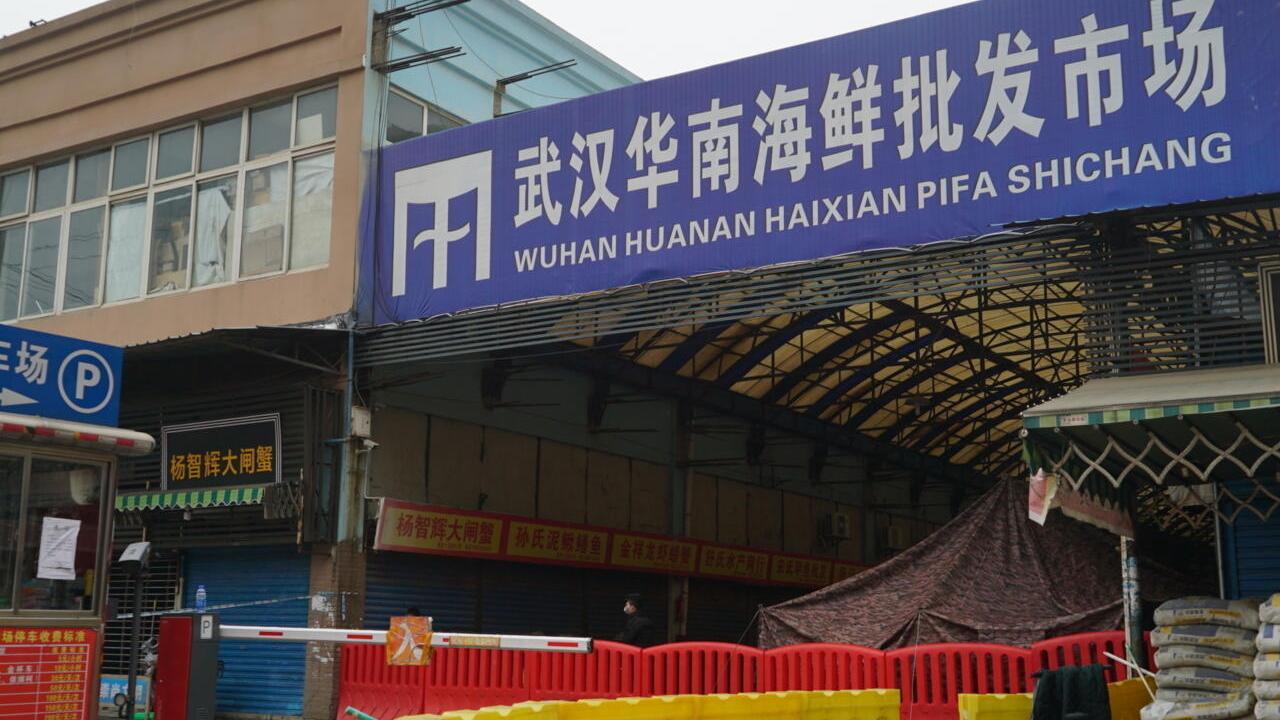 美國情報指沒有直接證據證明新冠病毒是實驗室外洩。(資料圖片)