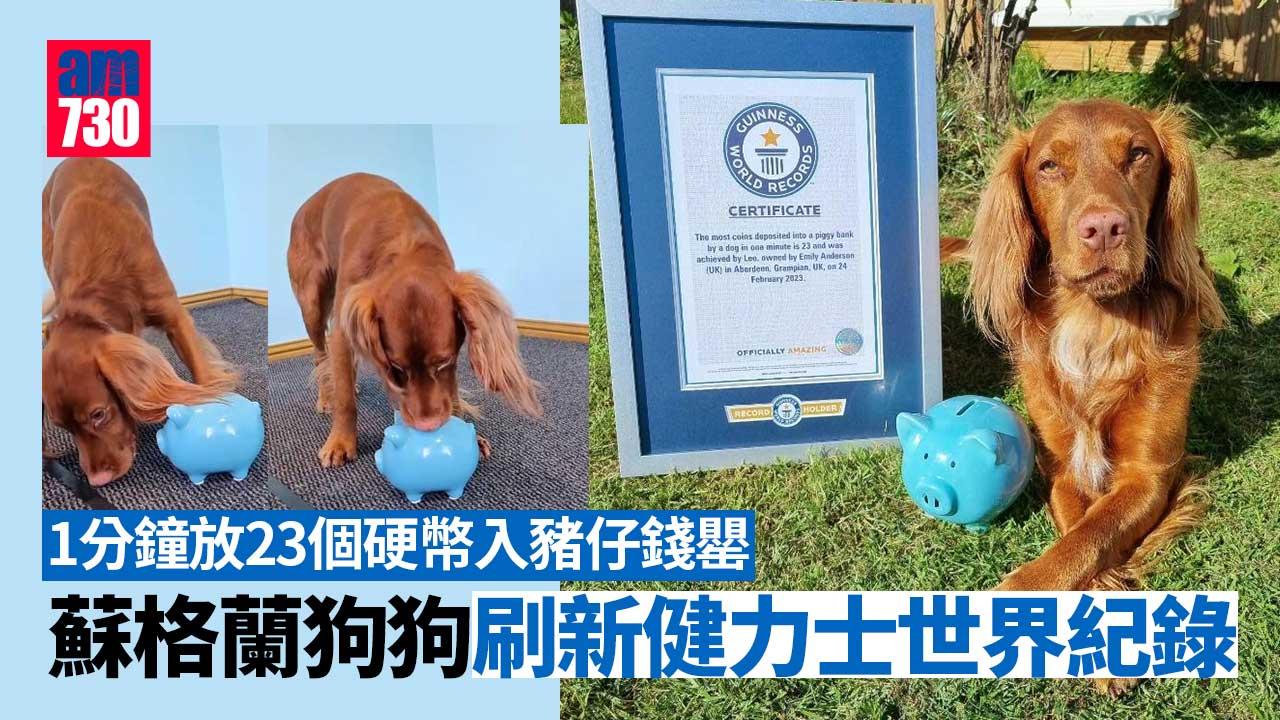 狗仔都識儲錢｜1分鐘放23個硬幣入豬仔錢罌　刷新健力士世界紀錄 (有片)