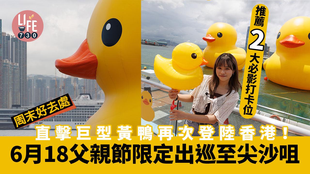 周末好去處｜直擊巨型黃鴨再次登陸香港！ 推薦2大必影打卡位 6月18父親節限定出巡至尖沙咀