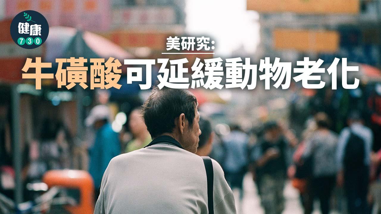 美研究：牛磺酸可延緩動物老化