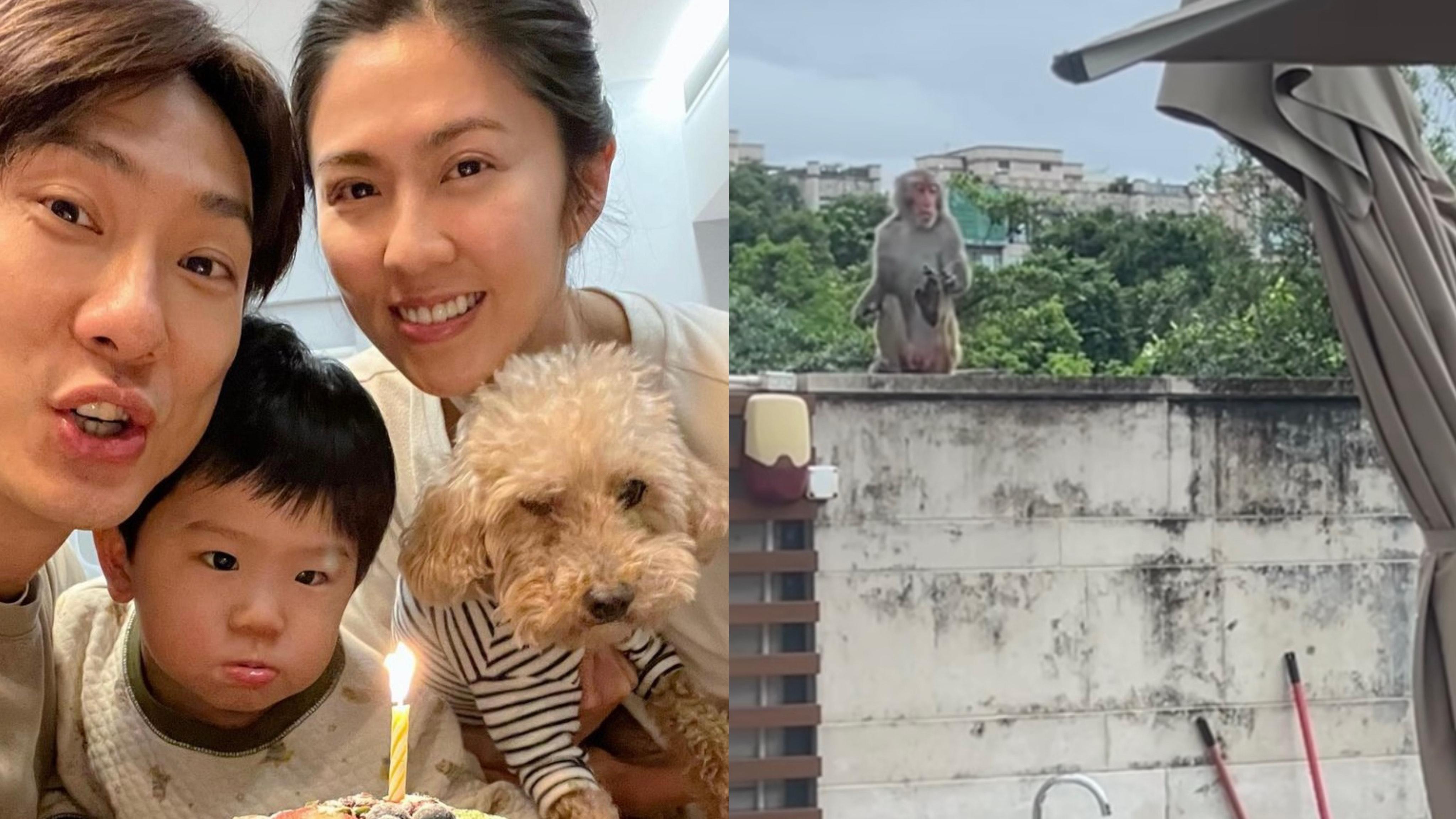 Patrick Sir三千萬豪宅遭猴子闖入 淡定笑言風水好 