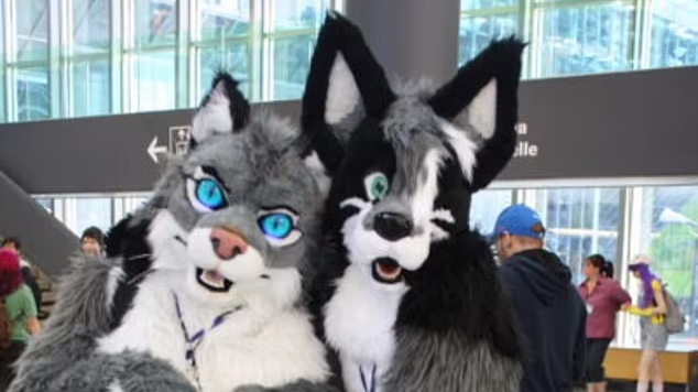 英學校現奇怪狀況 學生自稱為貓 上堂用喵叫代講話 惹安全憂慮