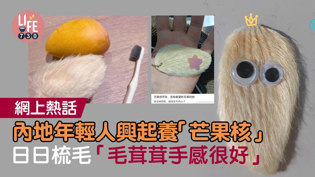 網上熱話｜內地年輕人興起養「芒果核」  日日梳毛「毛茸茸手感很好」