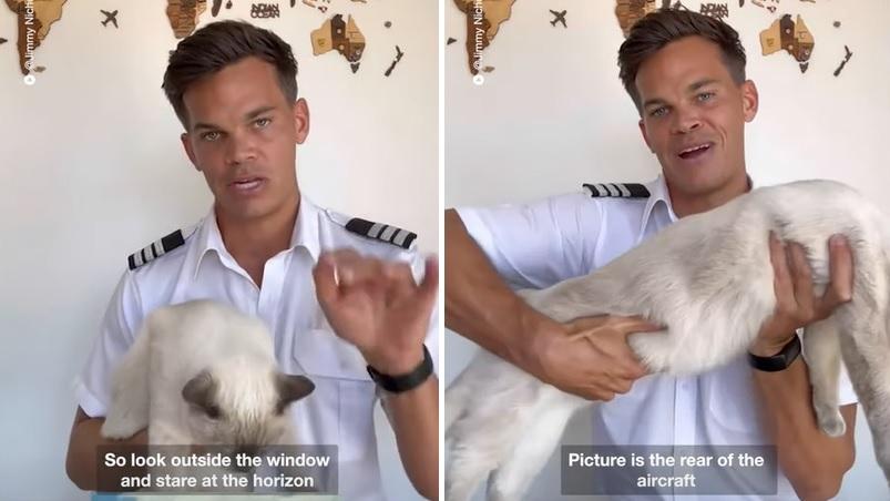 機長尼科爾森用貓咪作講解。(互聯網)