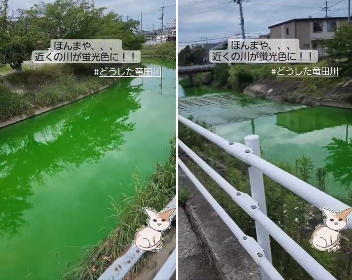 河川突然染成一片螢光綠。(互聯網)